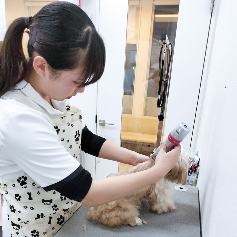 トリマー兼任動物看護助手／スタイリスト 内田真優